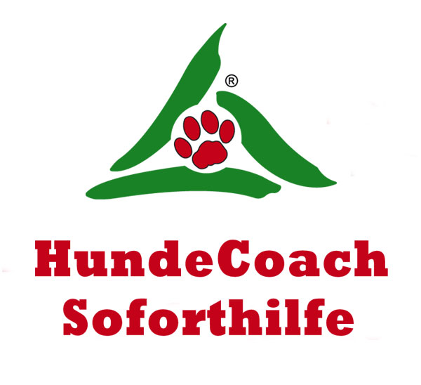 Hunde Soforthilfe